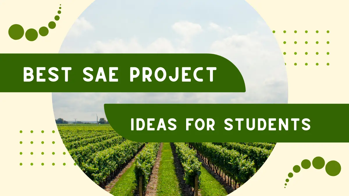 189+ Unique & Best SAE Project Ideas For Students [2024]